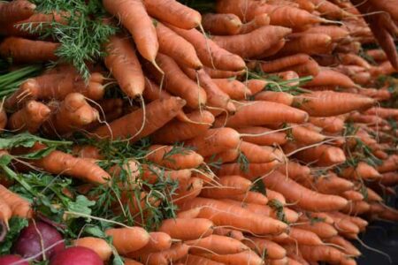 Take Action to Avoid Irradiated Food Image